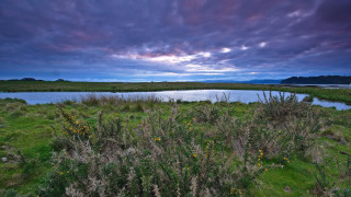 Lake green field cloudy sky 2 - a few cloud above free wallpaper for desktop