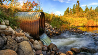 Lush forest stream rocks autumn - rusty free wallpaper