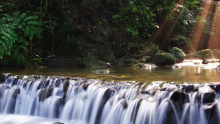 Waterfall stream forest sunlight moss - the leaf free wallpaper for desktop