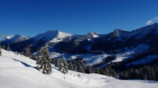 Snowy mountain trees blue sky 6 - edi rama free wallpaper