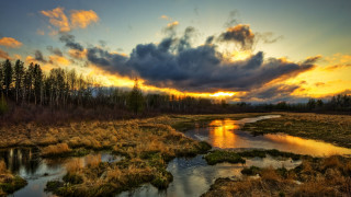 River forest sunset clouds mountain - a lush green forest under a cloudy sky free wallpaper