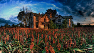 House field clouds gothic matte - a house in a field free wallpaper