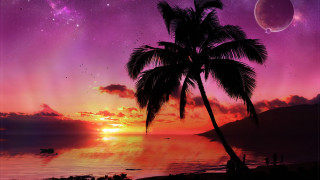 Palm tree silhouette sunset ocean 5 - a distant star free wallpaper