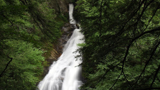 Waterfall forest person tiltshift nature - free rain wallpaper