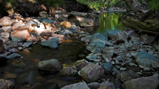 Lush forest stream rocks mountains - rock and boulders free wallpaper