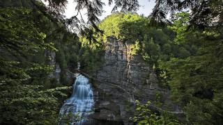 Waterfall forest bridge trees nature - a forest below free wallpaper