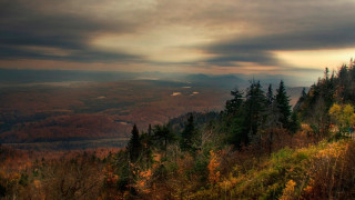 Forest hill cloudy sunset autumn - free autumn wallpaper