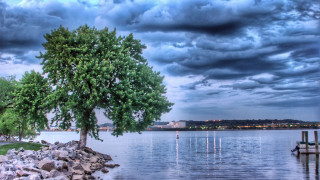 Lake shore tree cloudy sky - a dock in the foreground free wallpaper