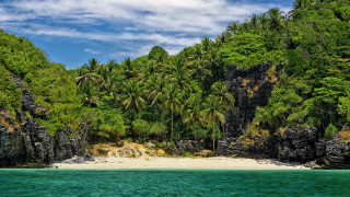 Beach white sand palm trees 2 - the side of it free wallpaper