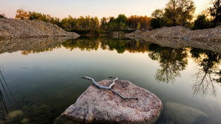 Snake rock lake forest sunset - the background and a rock in the foreground free wallpaper