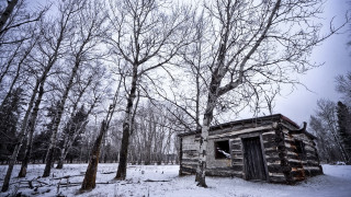 Snowy woods cabin autumn nature - a small cabin free wallpaper