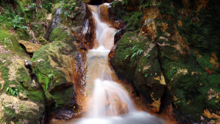 Small waterfall mossy rocks forest - a rocky hillside free wallpaper