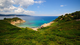 Bascove beach panorama mountains forest - free summer wallpaper for desktop