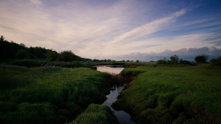 River field cloudy sky lake - a lush green field under a cloudy sky free wallpaper