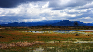 Field pond mountains clouds grass - anne rigney free wallpaper