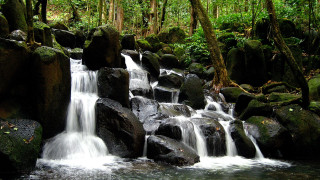 Tropical waterfall forest rocks trees - tropical free wallpaper