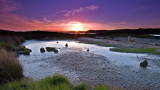 Sunset river rocks grass sheep - a few sheep free wallpaper
