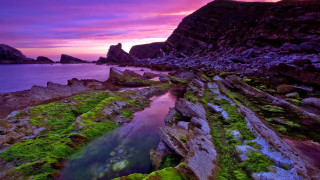 Rocky beach mossy rocks purple - mossy free wallpaper for desktop
