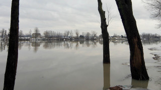 Flooded area trees houses cloudy - free ship wallpaper