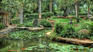 Pond gazebo waterlilies arts crafts - hdr free wallpaper