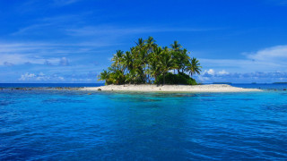 Small island palm trees ocean 10 - a small island free wallpaper for desktop