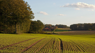 Field trees house sky clouds - landscape free wallpaper for desktop