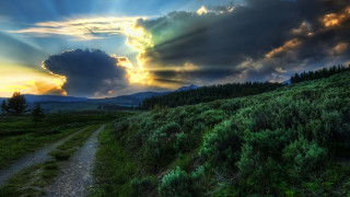 Dirt road green field sunrays - a lush green field under a cloudy sky free wallpaper