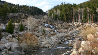 Rocky forest stream waterfall nature - a few bush and trees free wallpaper
