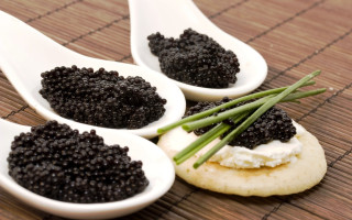 Three spoons black caviar bamboo - viennese actionism free wallpaper