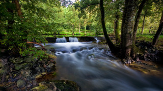 Small waterfall forest rocks stream - the center of the picture free wallpaper