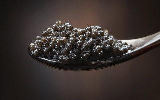 Spoon blackberries dark background spoonful - delaunay free wallpaper
