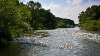 River forest water clouds mountains - tree and water free wallpaper