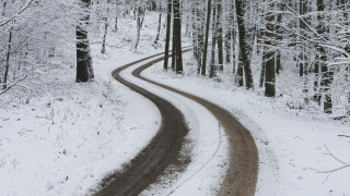 Snowy forest curved road matte - road free wallpaper