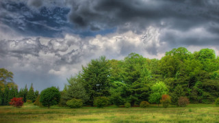 Cloudy sky field trees horizon 2 - stormy weather free wallpaper