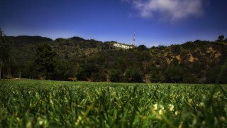 Hollywood mountain field blurry nature - cinematic landscape free wallpaper