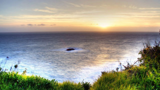 Sunset water island shore bush - a few bush free wallpaper