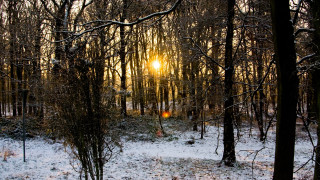 Snowy forest sunset city ferris - a snowy forest free wallpaper for desktop