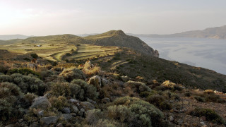 Mountain lake shore animals cloudy - a few animal free wallpaper