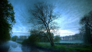 Tree river foggy dusk nature - a foggy sky in the background free wallpaper