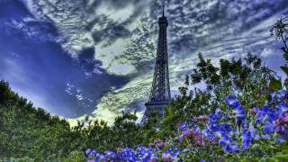 Eiffel tower paris blue flowers - a picture of the eiffel tower in paris france free wallpaper