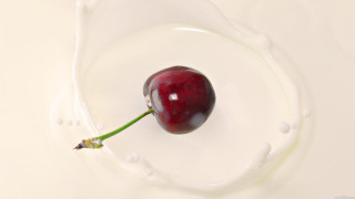 Cherry liquid bowl flower stem - a liquid free wallpaper