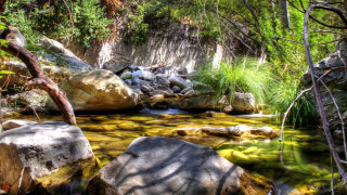 Lush forest stream waterfall nature 4 - a stream free wallpaper