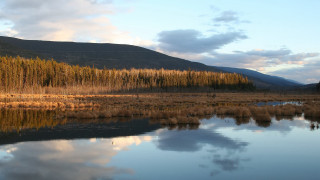 Lake forest sky clouds distant - alexander brook free wallpaper