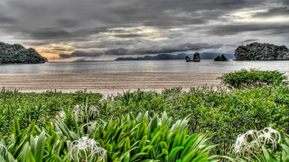 Scenic beach forest bushes water - the foreground and a body of water free wallpaper