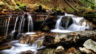 Small waterfall forest rocks trees - a small waterfall in a forest free wallpaper