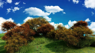Grassy field trees clouds blue - white cloud free wallpaper for desktop