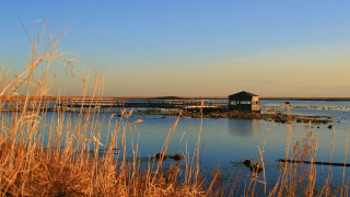 Small hut lake trees fireworks - free sunset wallpaper