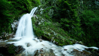 Waterfall forest stream rocks trees 2 - alen divi free wallpaper