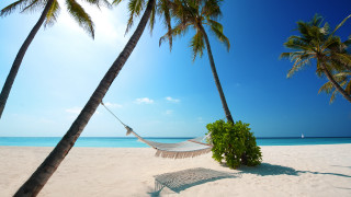 Hammock palm trees beach sailboat - a sailboat in the background free wallpaper for desktop