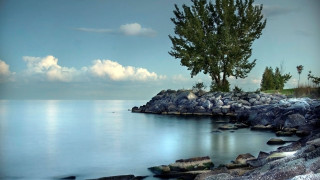 Tree shore ocean clouds sky - digital photography free wallpaper